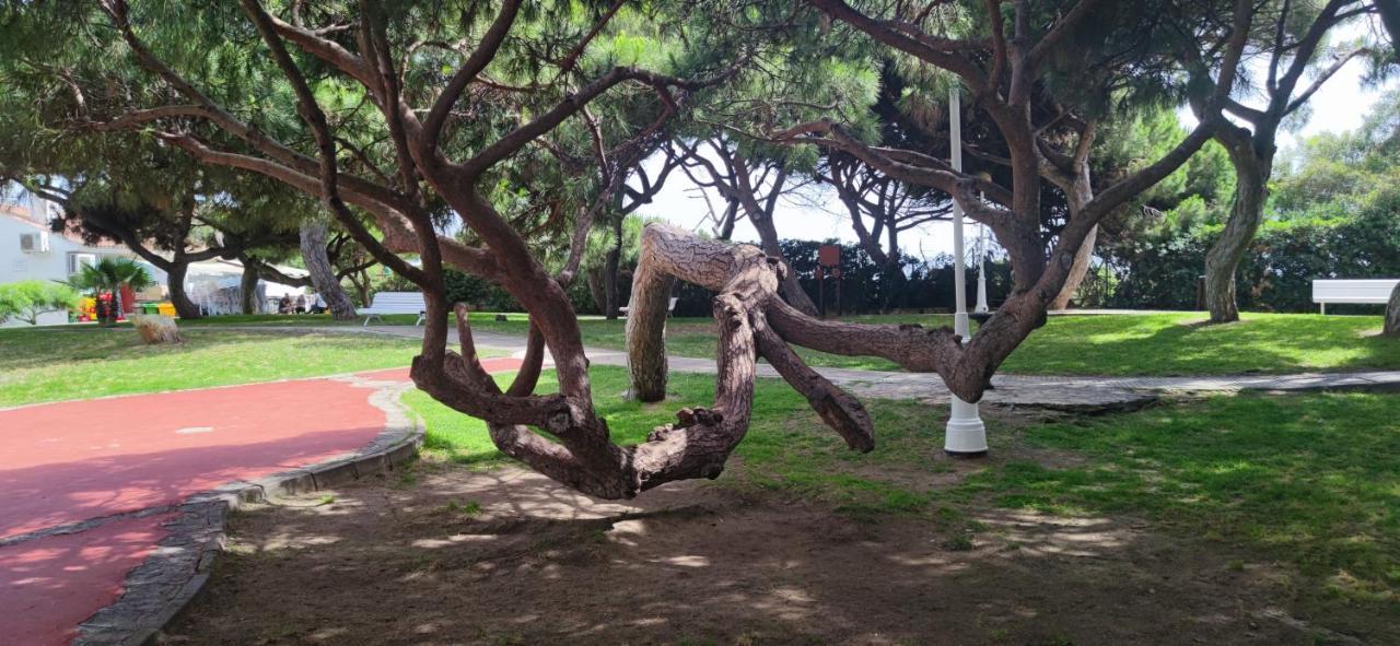 Rota Atlantico Apartment מראה חיצוני תמונה